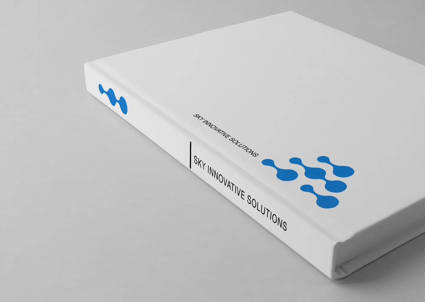 SKY Innovative Solutions, image 7 of 10